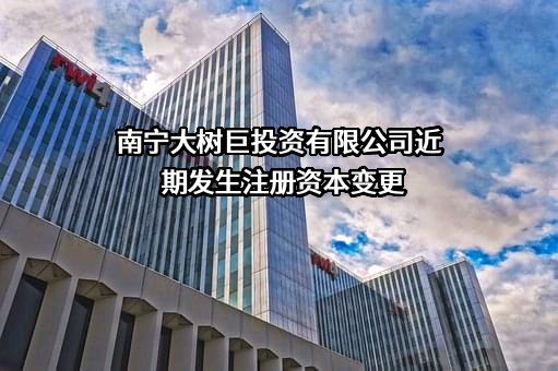 南宁大树巨投资有限公司