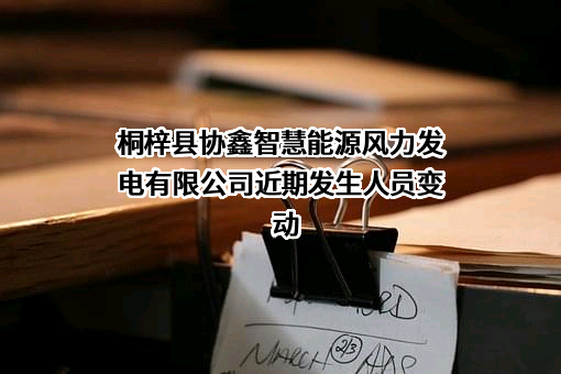 桐梓县协鑫智慧能源风力发电有限公司