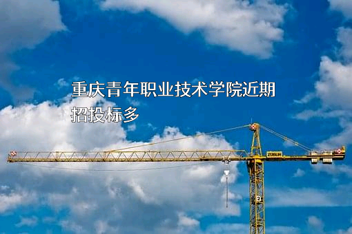 重庆青年职业技术学院
