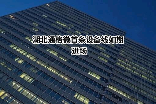 湖北通格微电路科技有限公司