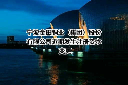宁波金田铜业（集团）股份有限公司
