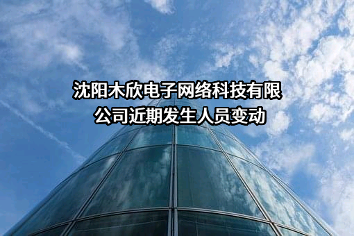 沈阳木欣电子网络科技有限公司