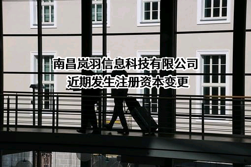 南昌岚羽信息科技有限公司