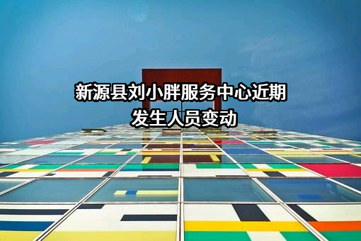 新源县刘小胖服务中心