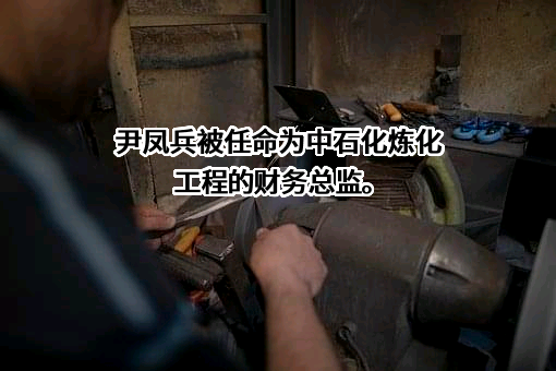 中石化炼化工程（集团）股份有限公司