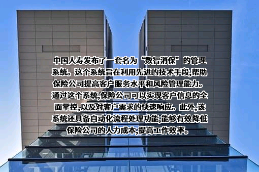 中国人寿保险（集团）公司