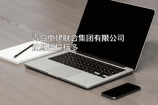 青岛中建联合集团有限公司