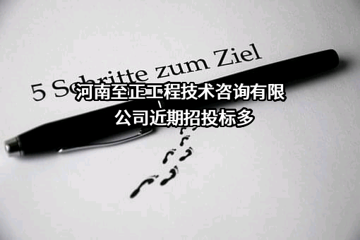 河南至正工程技术咨询有限公司