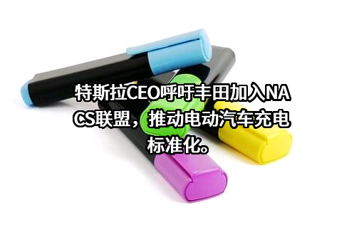 特斯拉（上海）有限公司