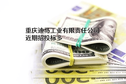 重庆迪马工业有限责任公司