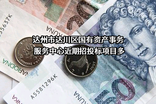 达州市达川区国有资产事务服务中心