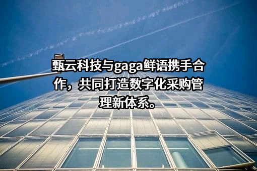 上海甄云信息科技有限公司