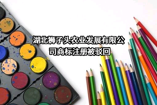 湖北狮子头农业发展有限公司商标注册被驳回