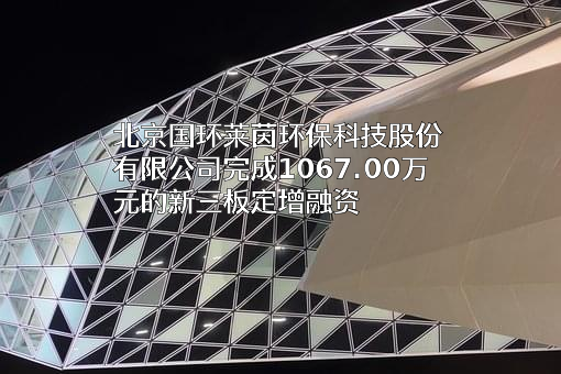 北京国环莱茵环保科技股份有限公司