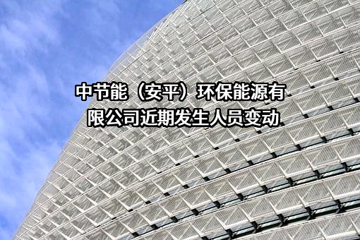 中节能（安平）环保能源有限公司