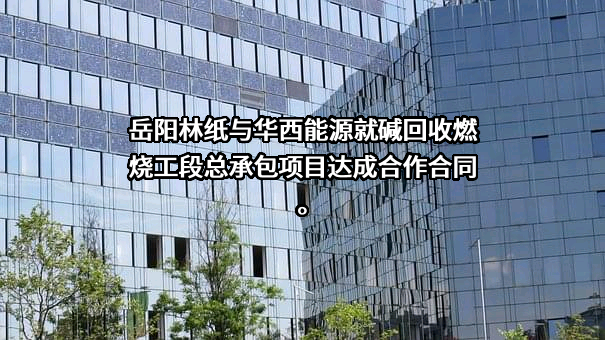 岳阳林纸股份有限公司
