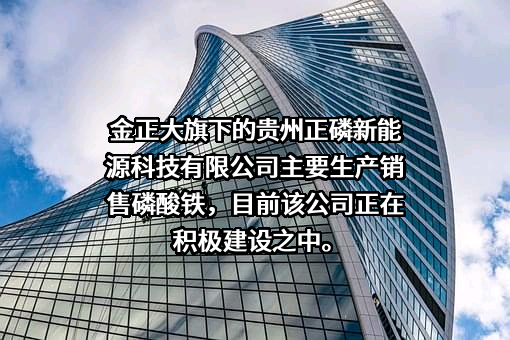 贵州正磷新能源科技有限公司