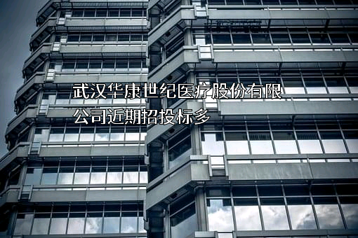 武汉华康世纪医疗股份有限公司