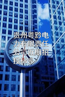 贵州粤黔电力有限责任公司近期招投标项目多