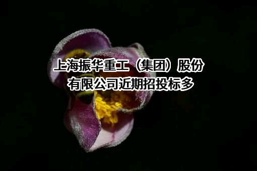 上海振华重工（集团）股份有限公司