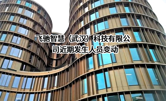 飞驰智慧（武汉）科技有限公司
