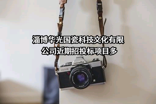 淄博华光国瓷科技文化有限公司