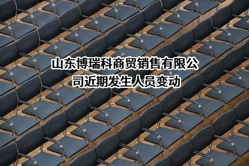 山东博瑞科商贸销售有限公司