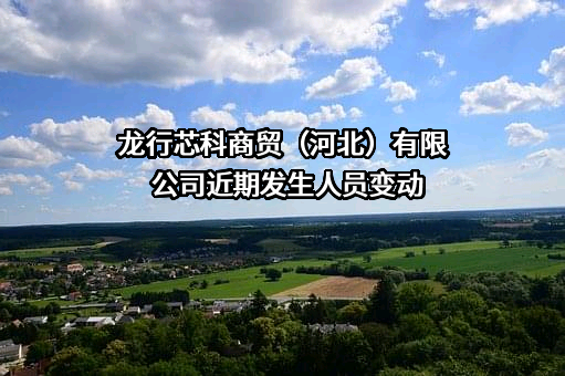 龙行芯科商贸（河北）有限公司