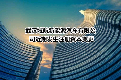武汉域航新能源汽车有限公司