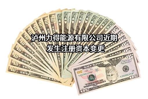泸州力得能源有限公司