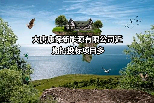 大唐康保新能源有限公司