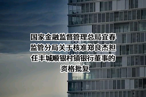 丰城顺银村镇银行股份有限公司