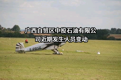 广西自贸区中投石油有限公司