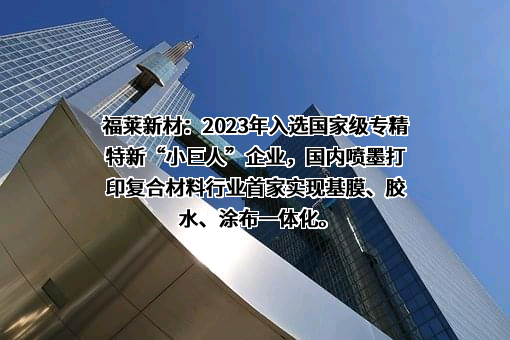 浙江福莱新材料股份有限公司