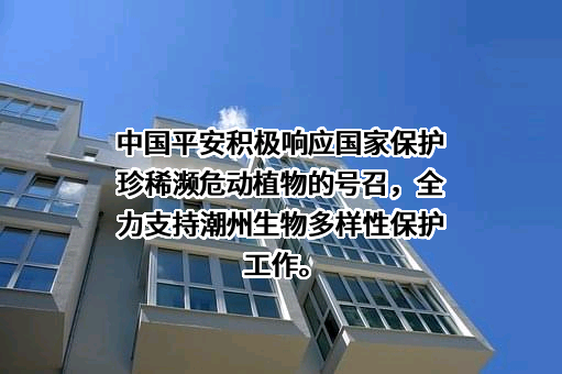中国平安保险（集团）股份有限公司