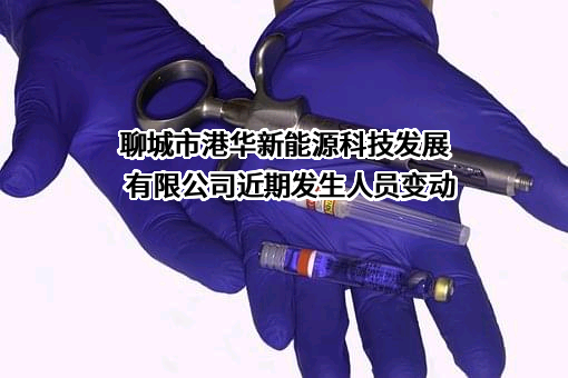 聊城市港华新能源科技发展有限公司