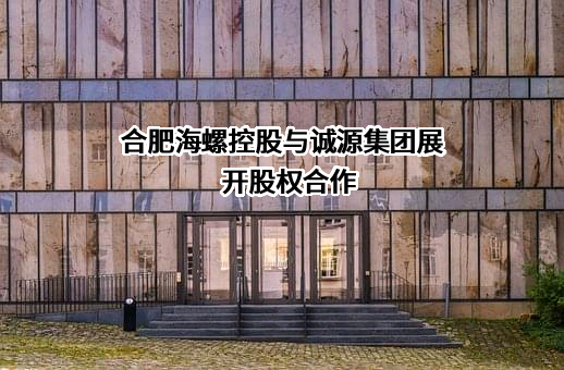 海螺（合肥）控股有限公司