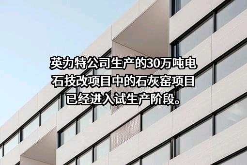 宁夏英力特化工股份有限公司