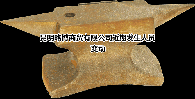 昆明略博商贸有限公司