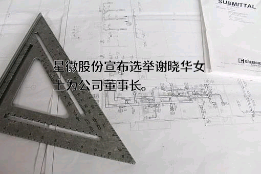 广东星徽精密制造股份有限公司