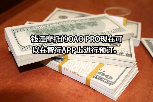浙江钱江摩托股份有限公司