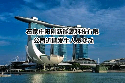 石家庄阳刚新能源科技有限公司