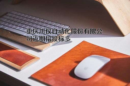 重庆川仪自动化股份有限公司