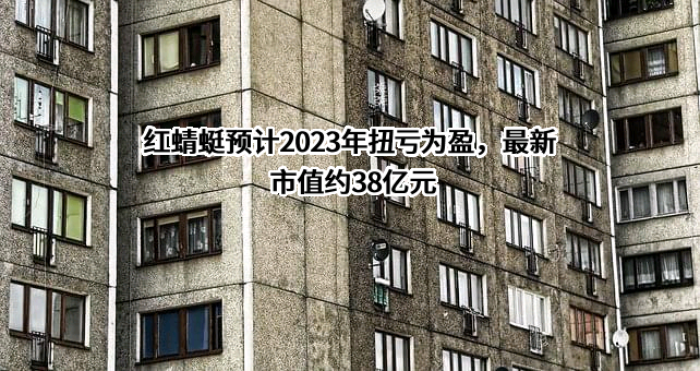 浙江红蜻蜓鞋业股份有限公司