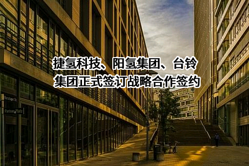 青岛阳氢集团有限公司