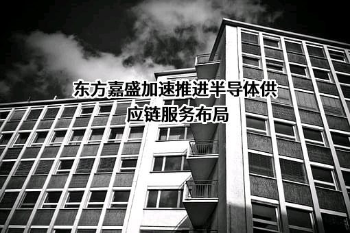 深圳市东方嘉盛供应链股份有限公司