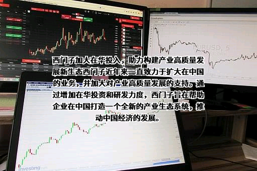 西门子（中国）有限公司