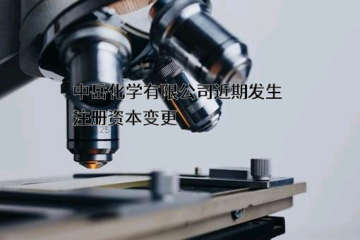 中岳化学有限公司