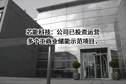 浙江芯能光伏科技股份有限公司