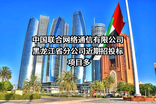 中国联合网络通信有限公司黑龙江省分公司